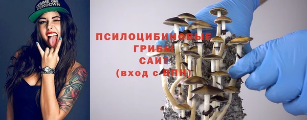 а пвп мука Аркадак