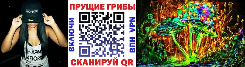 Псилоцибиновые грибы прущие грибы  kraken ссылки  Фатеж 