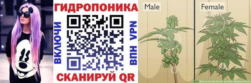 Бошки марихуана гибрид Фатеж
